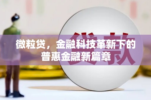 新埔微粒贷，金融科技革新下的普惠金融新篇章