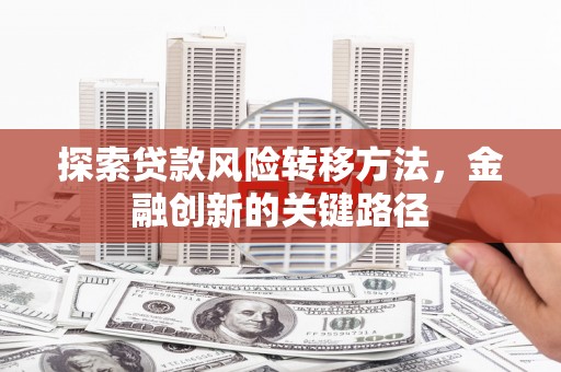 新埔探索贷款风险转移方法，金融创新的关键路径