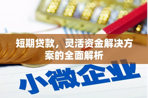 新埔短期贷款，灵活资金解决方案的全面解析