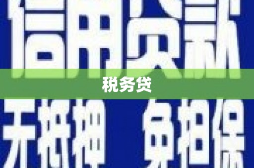 新埔税务贷