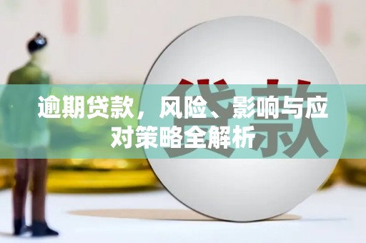新埔逾期贷款，风险、影响与应对策略全解析