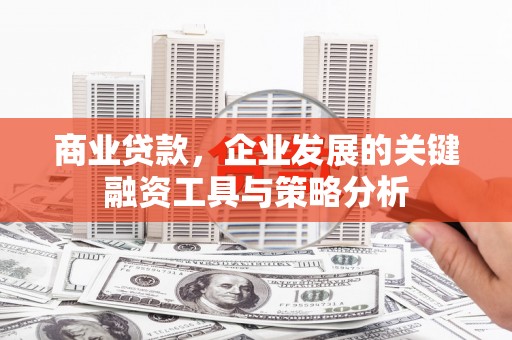 新埔商业贷款，企业发展的关键融资工具与策略分析