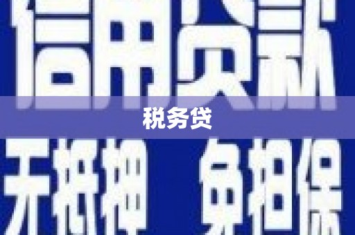 新埔税务贷