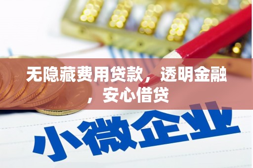 新埔无隐藏费用贷款，透明金融，安心借贷