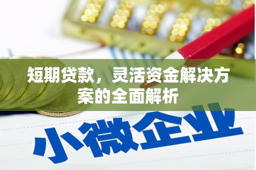 新埔短期贷款，灵活资金解决方案的全面解析