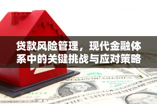 新埔贷款风险管理，现代金融体系中的关键挑战与应对策略