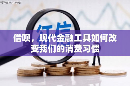 新埔借呗，现代金融工具如何改变我们的消费习惯