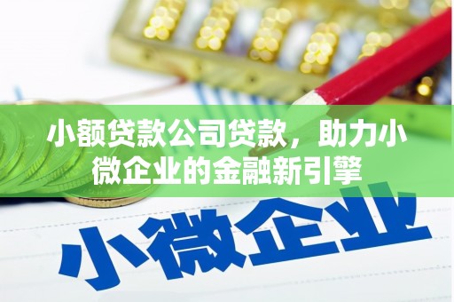 新埔小额贷款公司贷款，助力小微企业的金融新引擎
