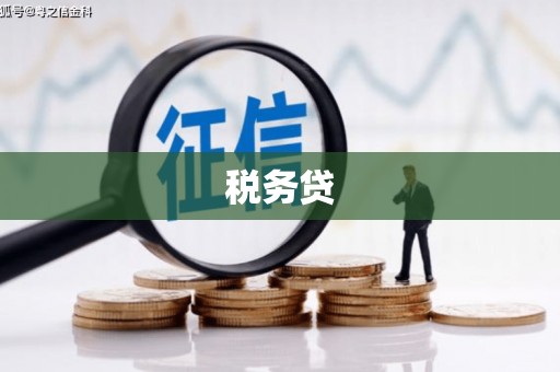 新埔税务贷