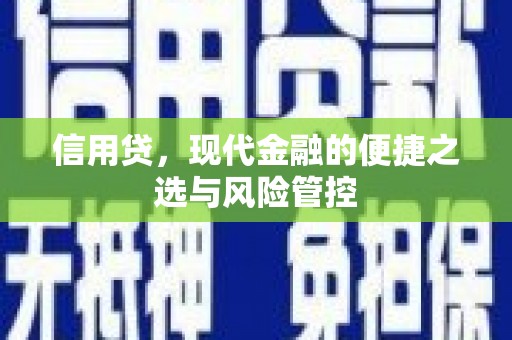 新埔信用贷，现代金融的便捷之选与风险管控