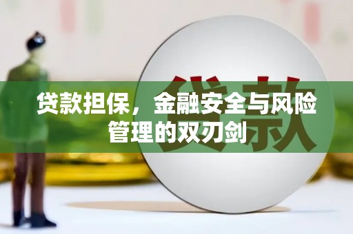 新埔贷款担保，金融安全与风险管理的双刃剑