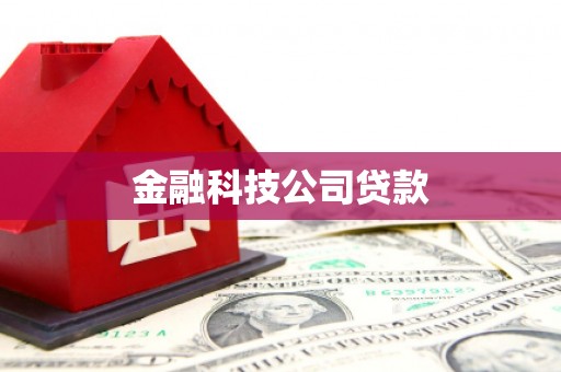 新埔金融科技公司贷款