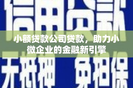 新埔小额贷款公司贷款，助力小微企业的金融新引擎