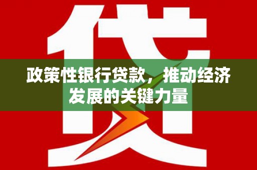 新埔政策性银行贷款，推动经济发展的关键力量