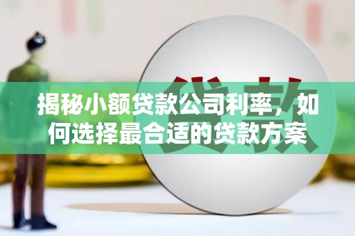 新埔揭秘小额贷款公司利率，如何选择最合适的贷款方案