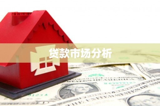 新埔贷款市场分析
