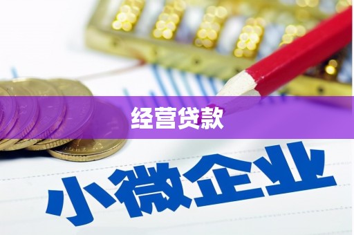 新埔经营贷款