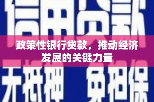 新埔政策性银行贷款，推动经济发展的关键力量