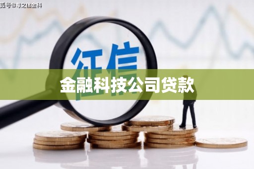 新埔金融科技公司贷款