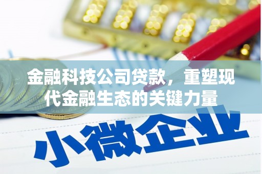 新埔金融科技公司贷款，重塑现代金融生态的关键力量