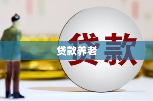 新埔贷款养老