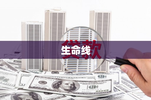 新埔生命线