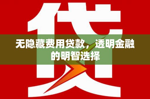 新埔无隐藏费用贷款，透明金融的明智选择