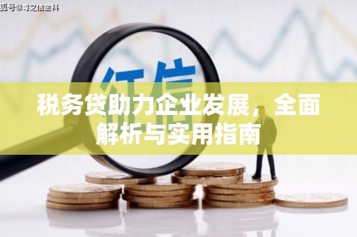 新埔税务贷助力企业发展，全面解析与实用指南