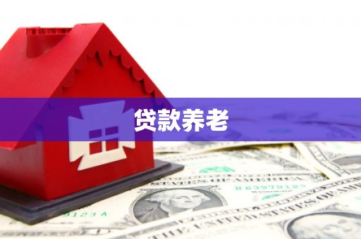 新埔贷款养老