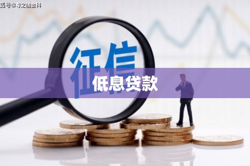 新埔低息贷款