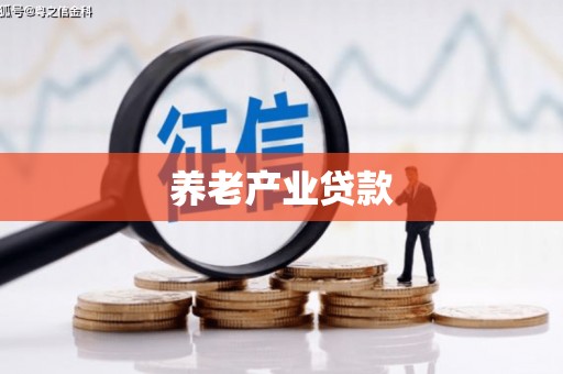 新埔养老产业贷款