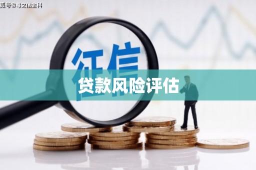 新埔贷款风险评估