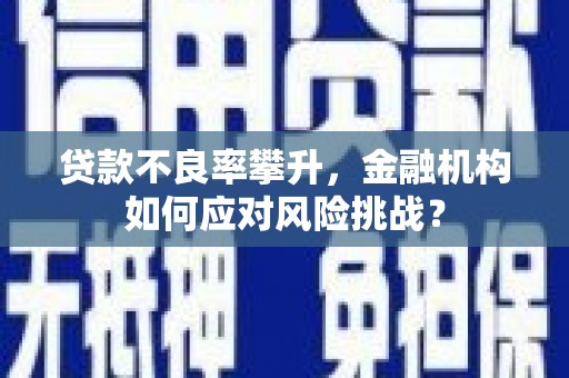 新埔贷款不良率攀升，金融机构如何应对风险挑战？