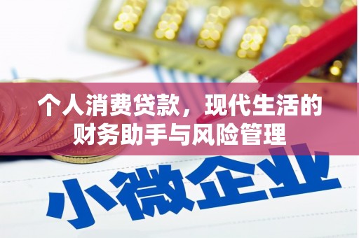 新埔个人消费贷款，现代生活的财务助手与风险管理
