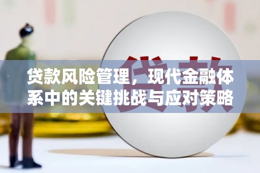 新埔贷款风险管理，现代金融体系中的关键挑战与应对策略