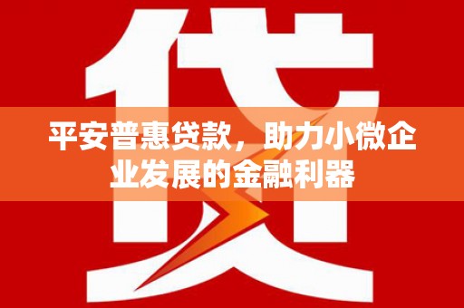 新埔平安普惠贷款，助力小微企业发展的金融利器