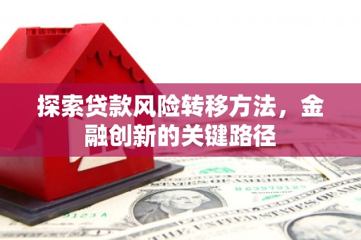 新埔探索贷款风险转移方法，金融创新的关键路径