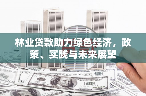 新埔林业贷款助力绿色经济，政策、实践与未来展望