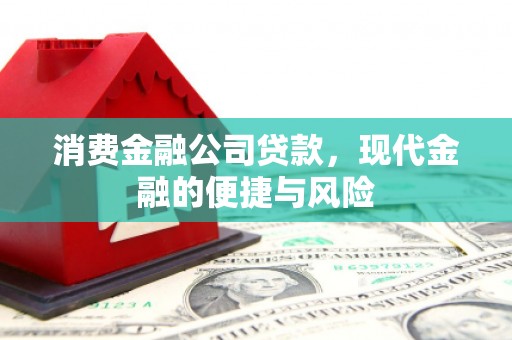 新埔消费金融公司贷款，现代金融的便捷与风险