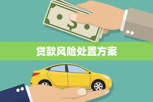 新埔贷款风险处置方案