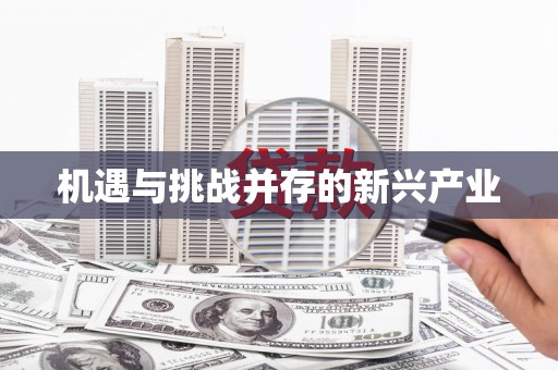 新埔机遇与挑战并存的新兴产业