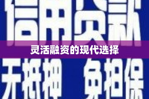 新埔灵活融资的现代选择