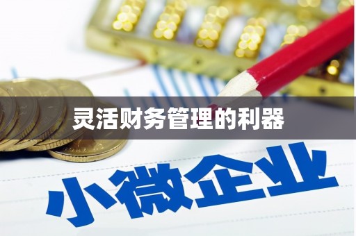 新埔灵活财务管理的利器