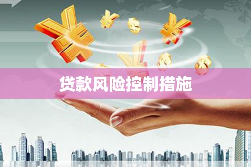 新埔贷款风险控制措施