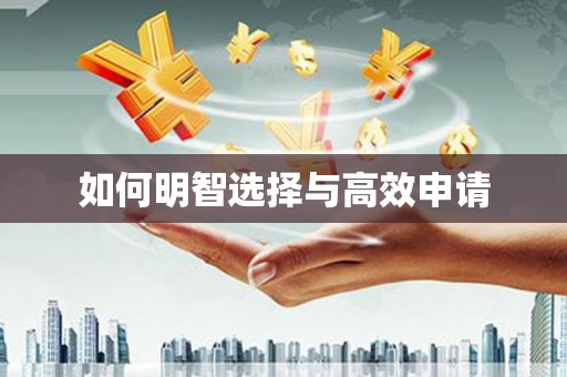 新埔如何明智选择与高效申请