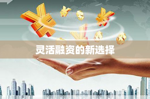 新埔灵活融资的新选择