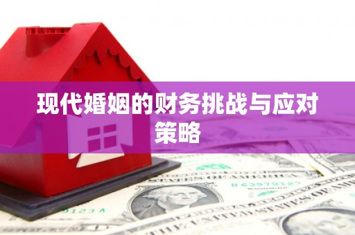 新埔现代婚姻的财务挑战与应对策略