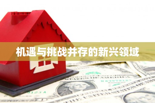 新埔机遇与挑战并存的新兴领域